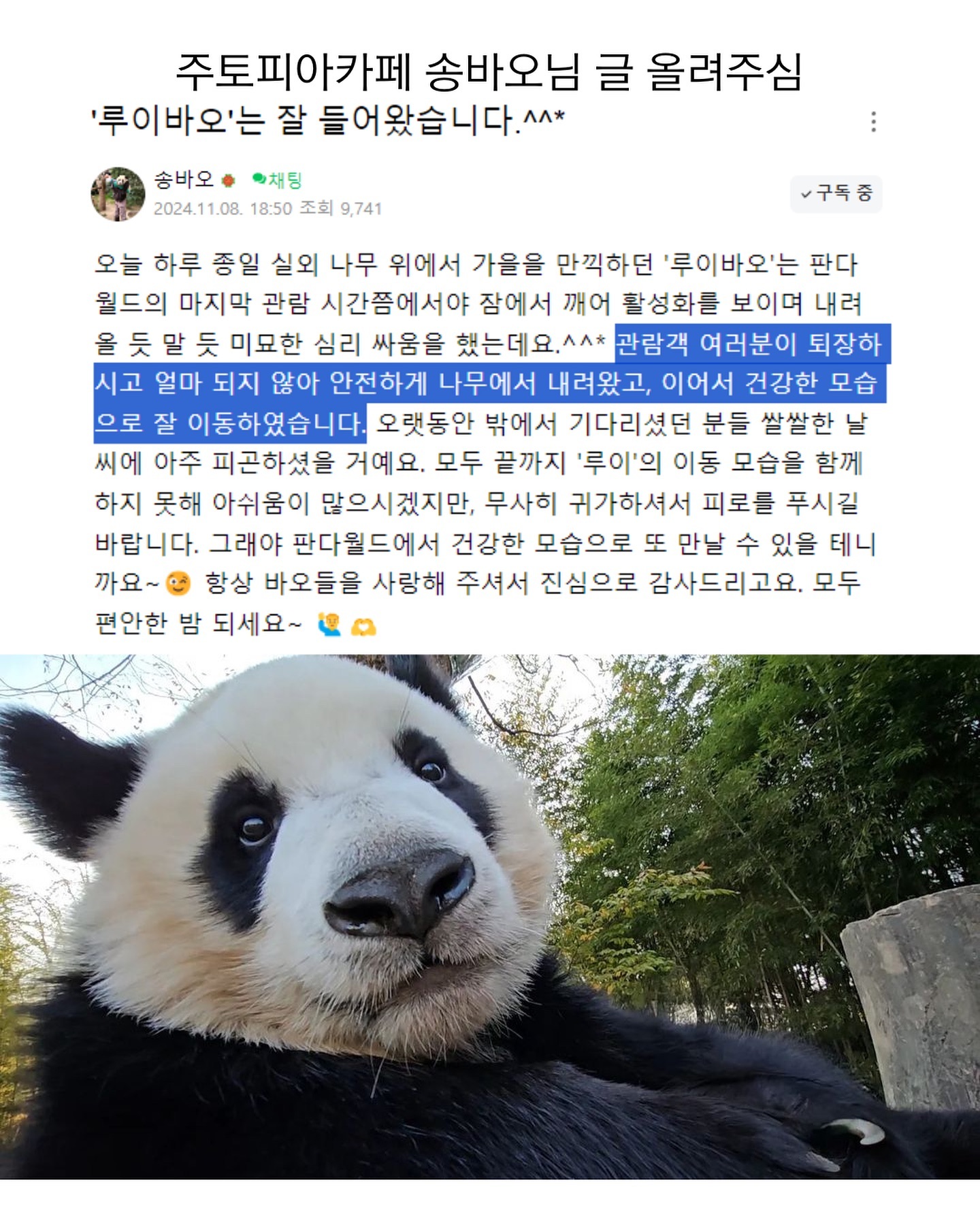 [잡담] 루이 오늘 하루종일 나무에서 안 내려왔넼ㅋㅋㅋㅋㅋㅋ | 인스티즈