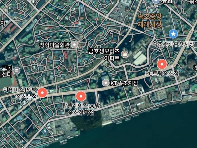 [잡담] 속초익들 있어??? | 인스티즈