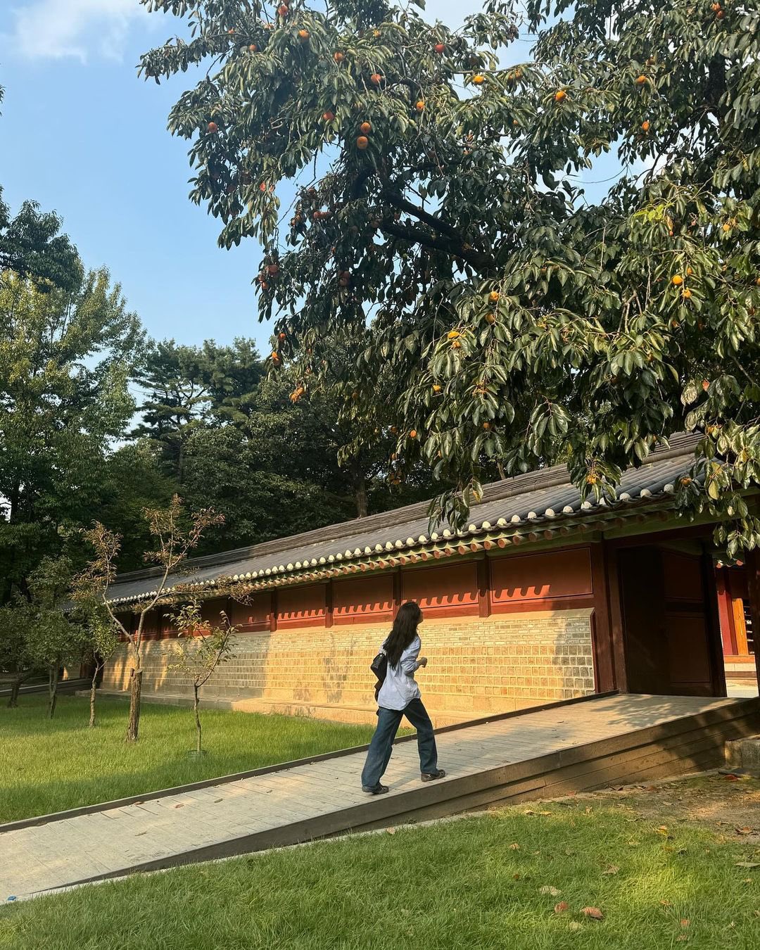 [잡담] 와 정채연 인스타사진 미감 진짜 감탄나옴... | 인스티즈