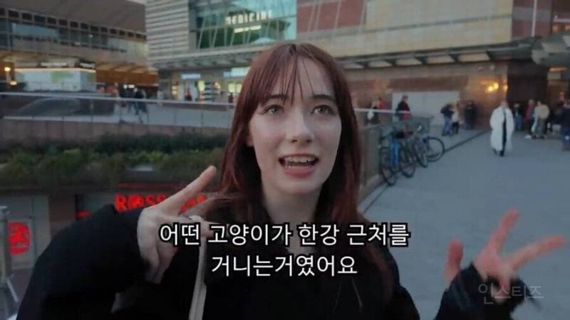 서울의 한강이 해외에서 유명해진 의외의 이유 | 인스티즈