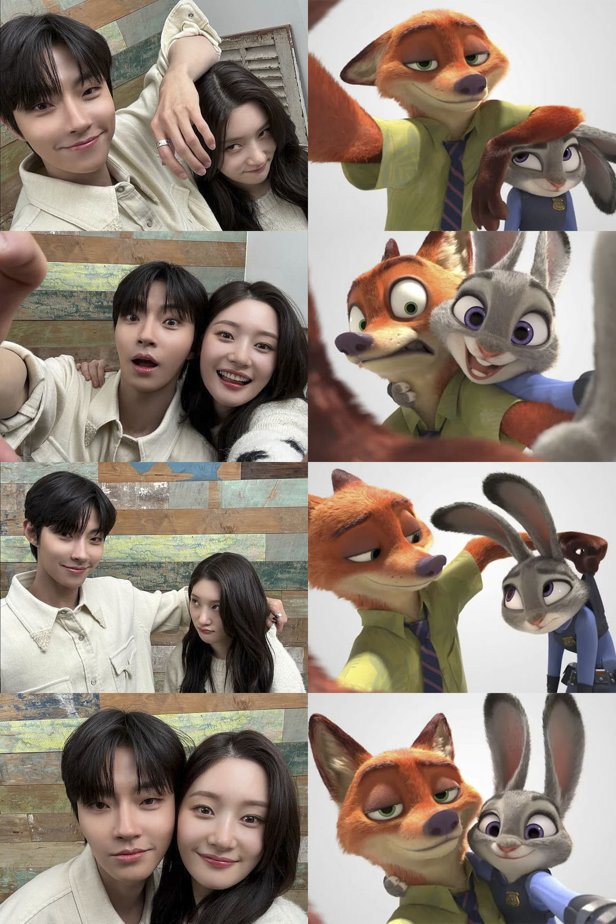 [잡담] 황인엽 정채연 닉주디 챌린지를 봐주 | 인스티즈