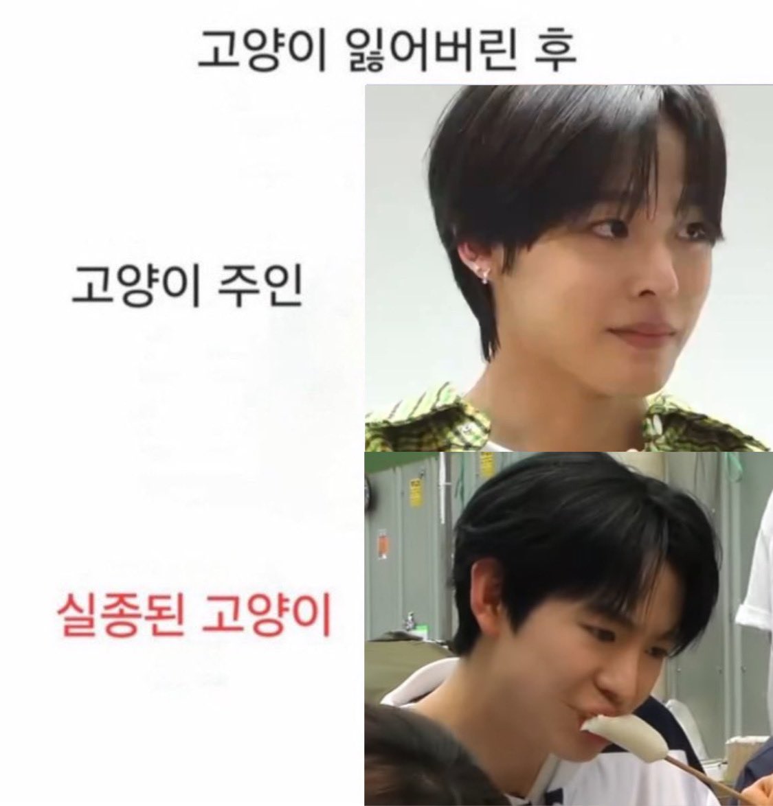 [잡담] 유우시 고양이짤 왤케 웃기지 ㅋㅋㅋㅋ | 인스티즈