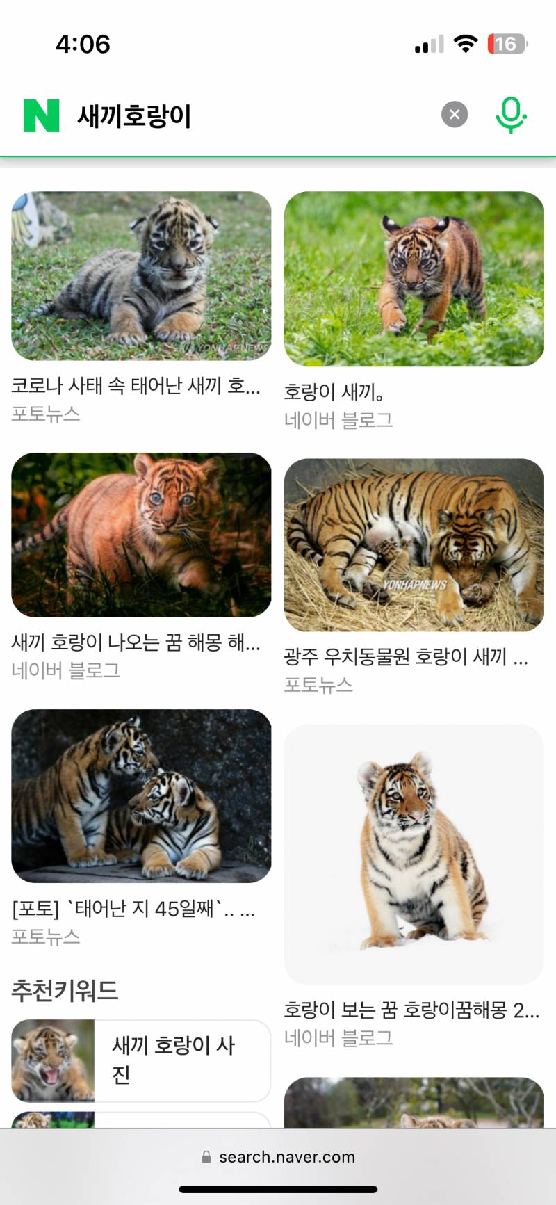 [잡담] 이거 사자인 거지?? 이 선수 삼성 간단 건가 | 인스티즈