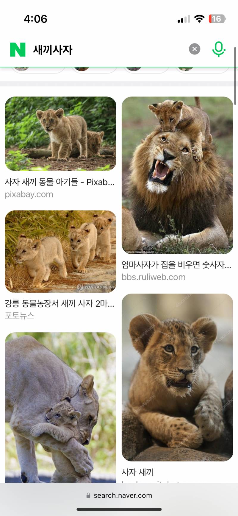 [잡담] 이거 사자인 거지?? 이 선수 삼성 간단 건가 | 인스티즈