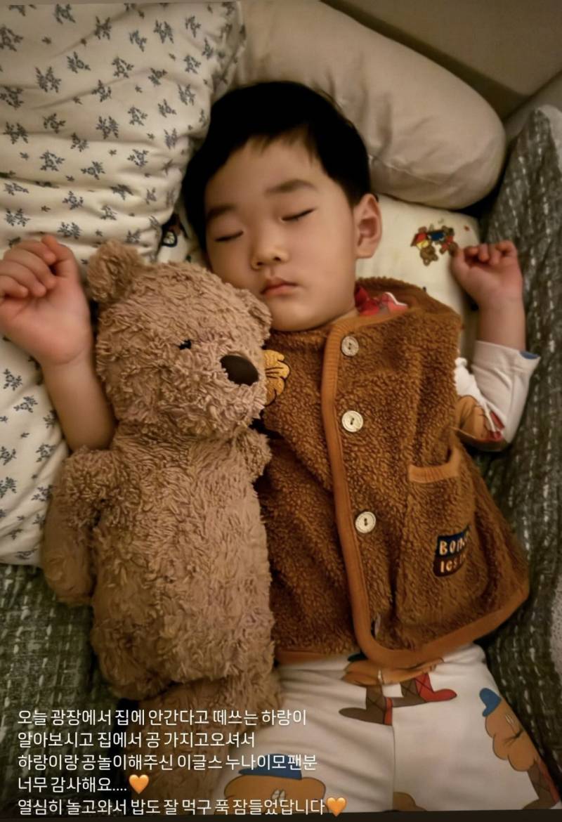 [잡담] 나도 하랑이랑 공놀이할래!!!! | 인스티즈