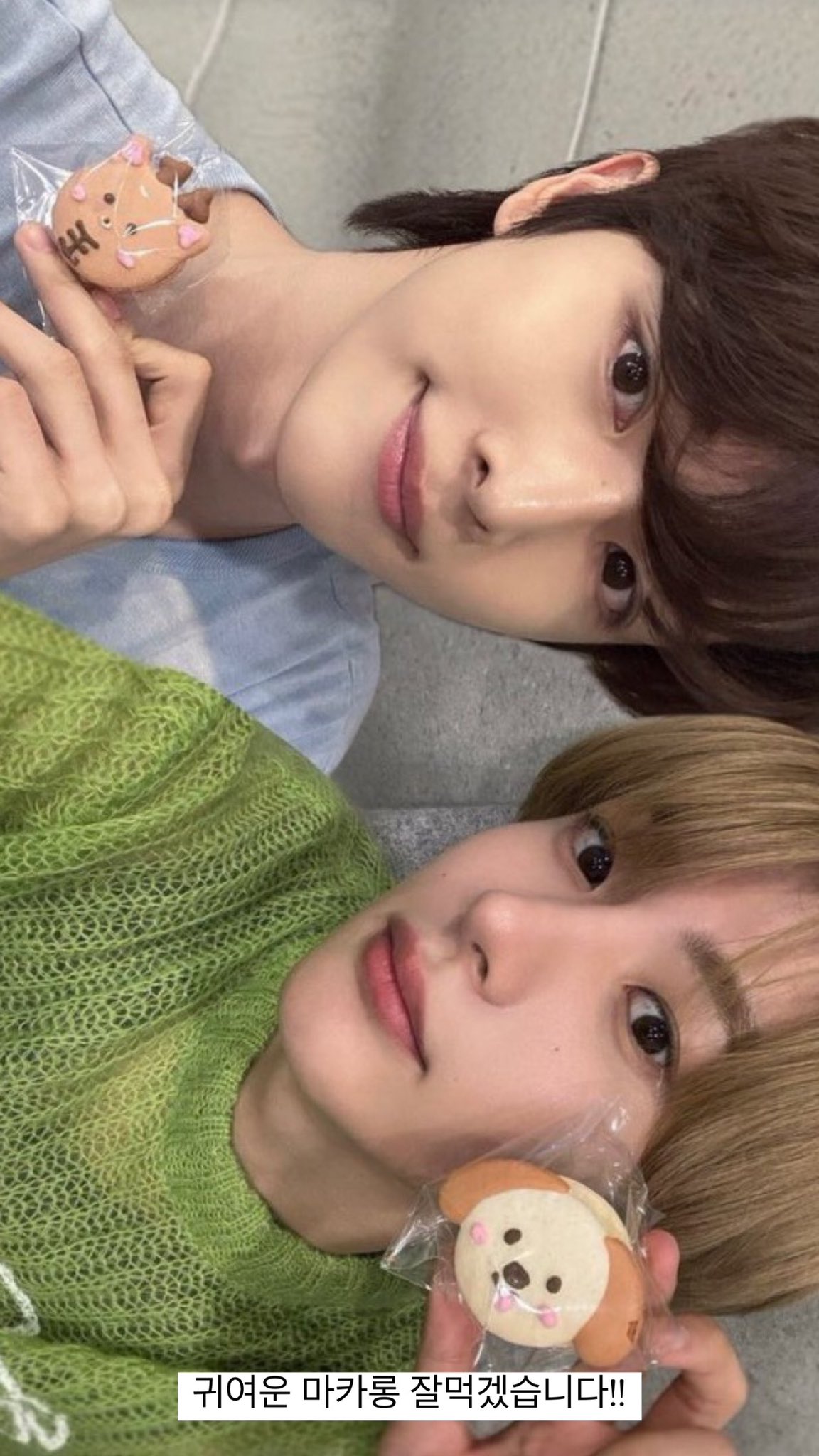 [잡담] 성찬영 귀여워 | 인스티즈