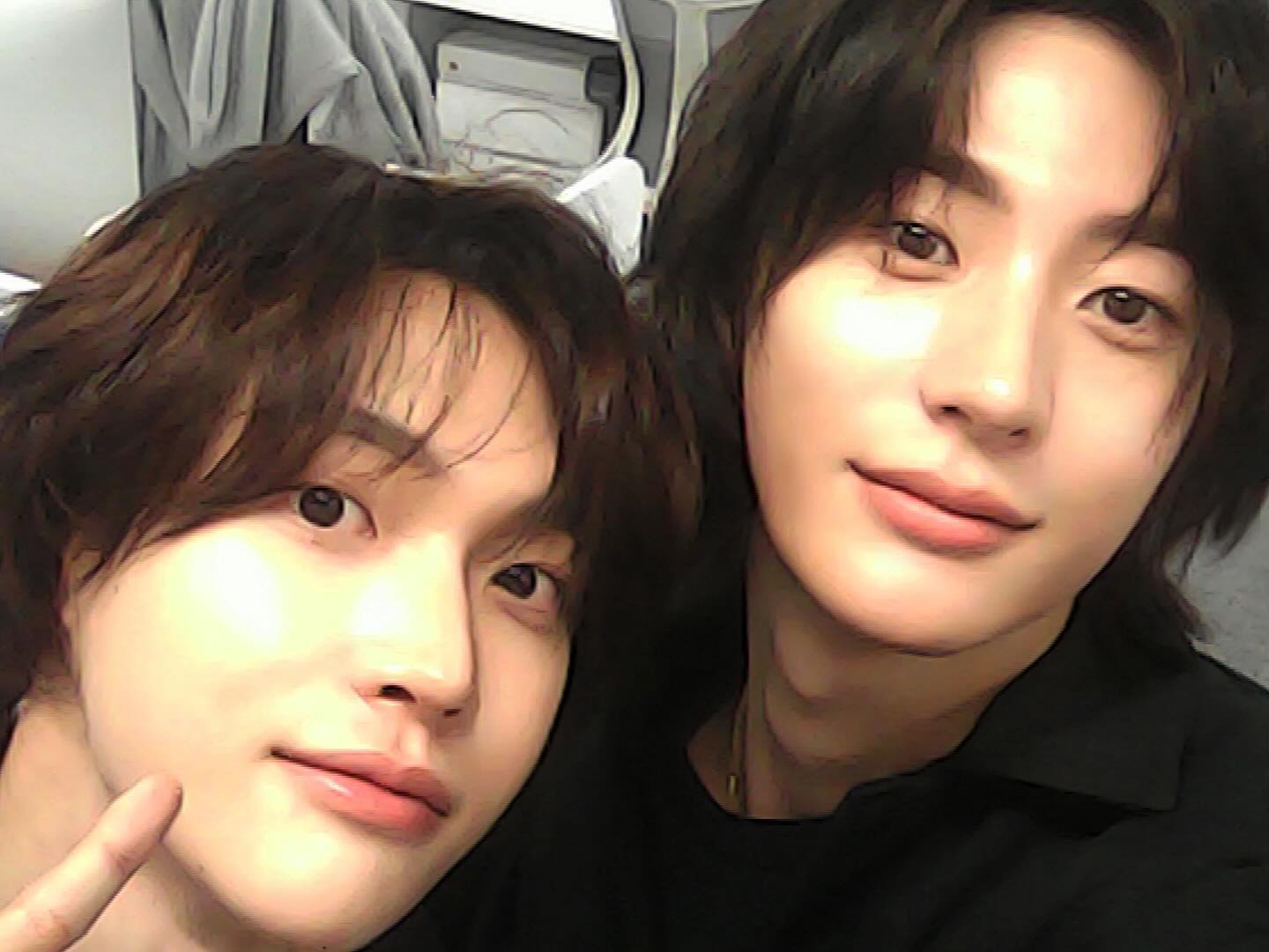 [잡담] 우리 멍냥이들이 | 인스티즈