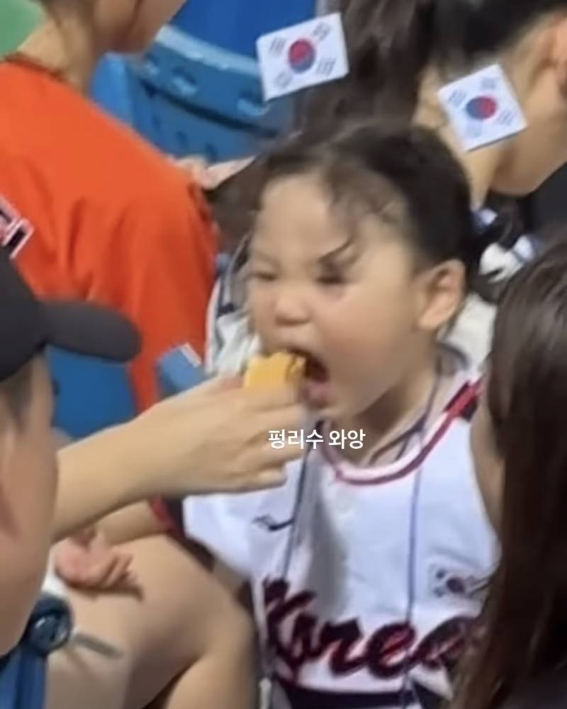 [잡담] 채이 펑리수 먹방 | 인스티즈