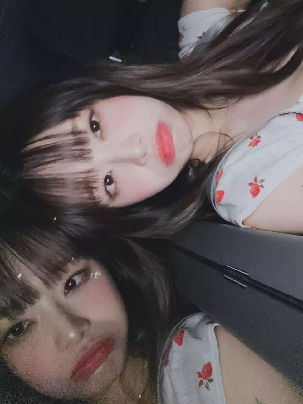 호모 이레알리스< 최근 읽은 에세이인데 추천합니다 | 인스티즈