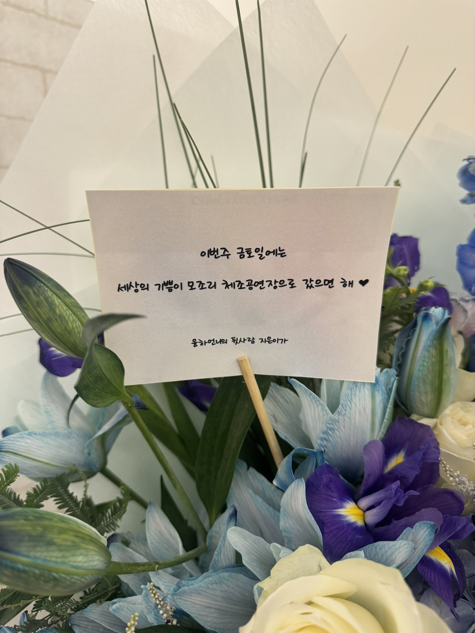 [잡담] 윤하 아이유 진짜 뭐야 둘이 | 인스티즈