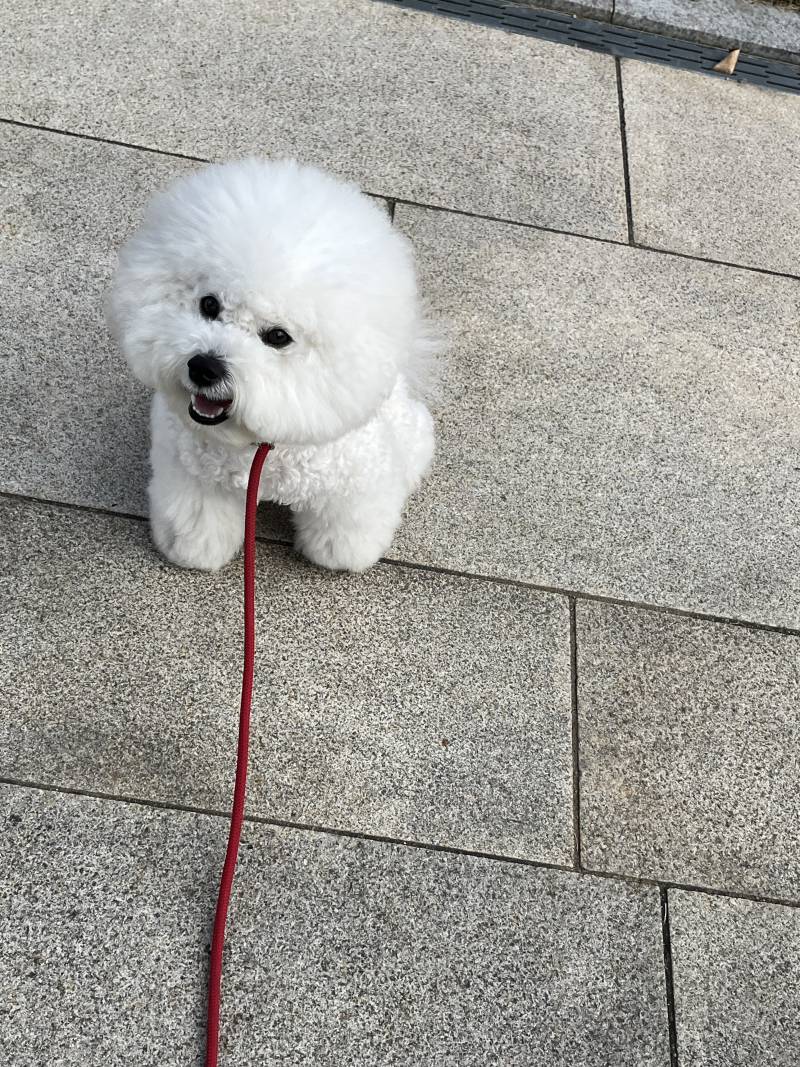[잡담] 나 모쏠이여도 너무 행복함.. | 인스티즈