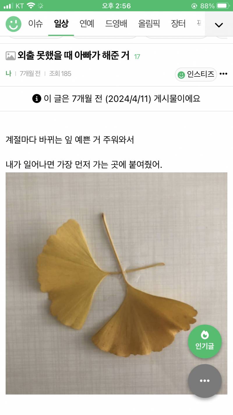 [잡담] 올해도 결국 나뭇잎 선물을 받았어 | 인스티즈