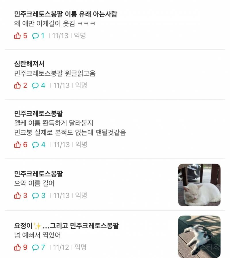 청강대 고양이 민주크레토스봉팔의 이름 유래 | 인스티즈