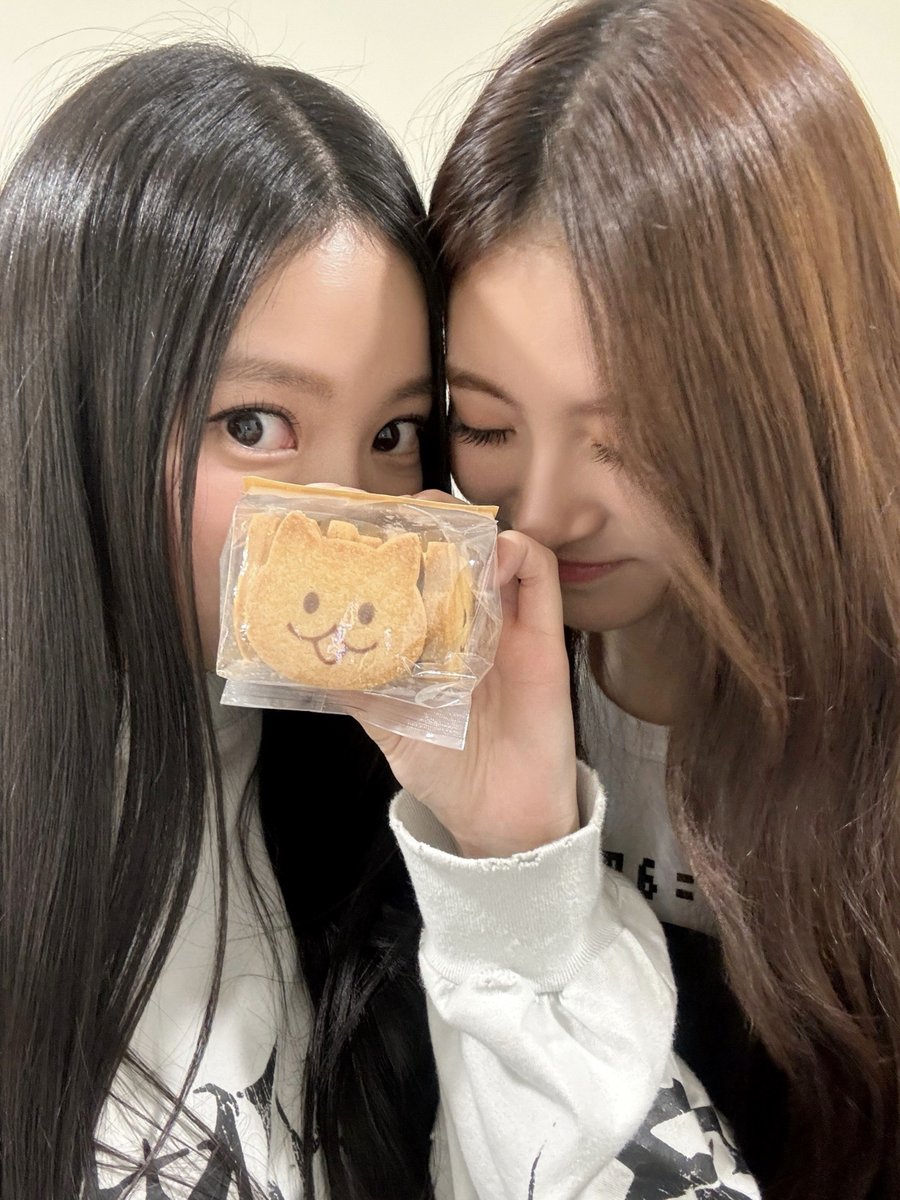 [정보/소식] 미야오 MEOVV 멤트 업로드 | 인스티즈