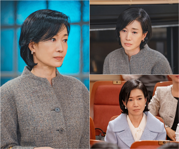 [정보/소식] 나영희, '신데렐라 게임' 선택 이유 "복수극과 가족 드라마의 두 가지 매력을 담은 드라마 | 인스티즈