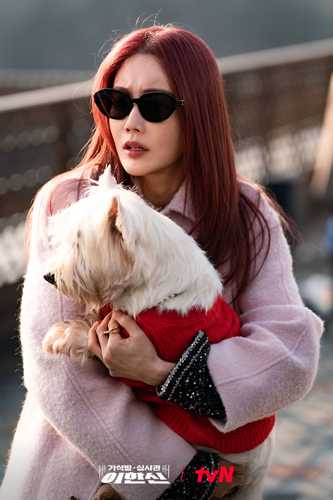 [정보/소식] 이한신 귀여움 옆에 또 귀여움..♡(ᐢ ᴥ ᐢし)한신X강아지 세상 무해한 조합!하지만 그가 황우슬혜 강아지에게 집착하는 이유는!? | 인스티즈
