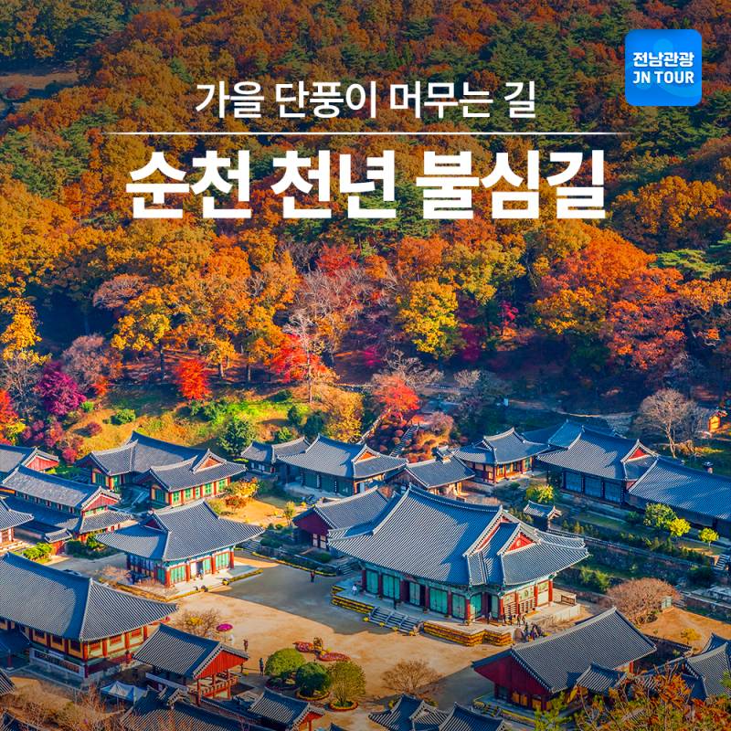 늦깎이 가을 단풍이 머무는 길 순천 트레킹 코스 추천 | 인스티즈