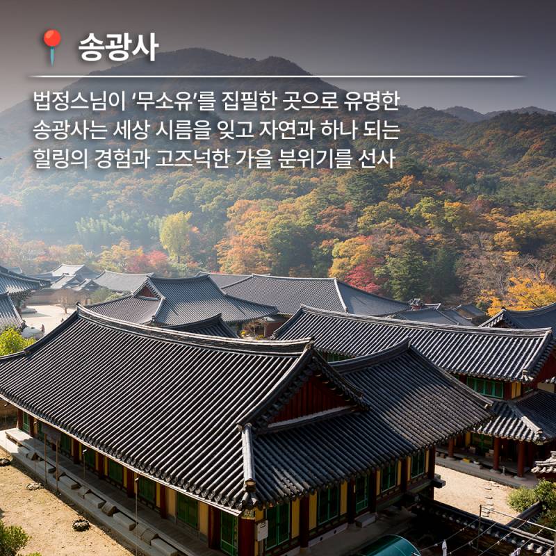 늦깎이 가을 단풍이 머무는 길 순천 트레킹 코스 추천 | 인스티즈