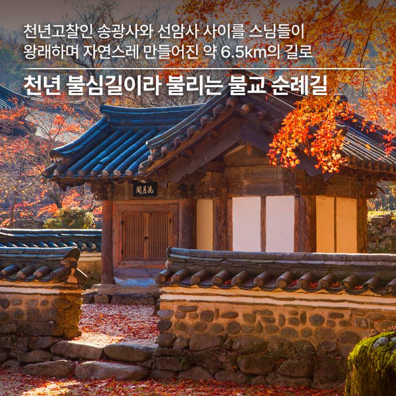 늦깎이 가을 단풍이 머무는 길 순천 트레킹 코스 추천 | 인스티즈
