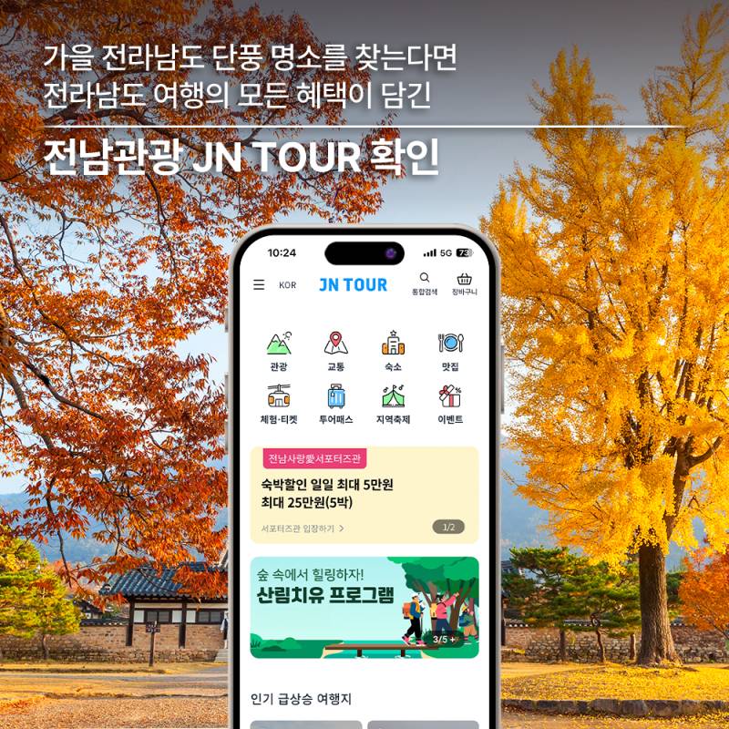 늦깎이 가을 단풍이 머무는 길 순천 트레킹 코스 추천 | 인스티즈