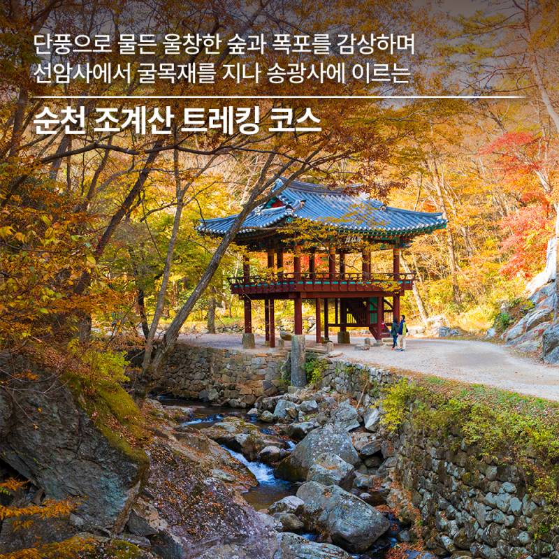 늦깎이 가을 단풍이 머무는 길 순천 트레킹 코스 추천 | 인스티즈