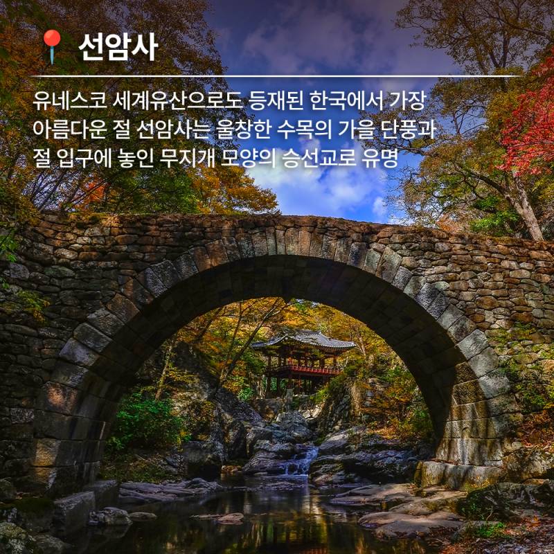 늦깎이 가을 단풍이 머무는 길 순천 트레킹 코스 추천 | 인스티즈