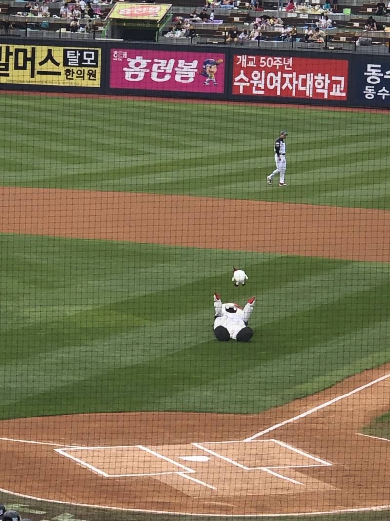 [잡담] 또리한테 안기고싶어 | 인스티즈