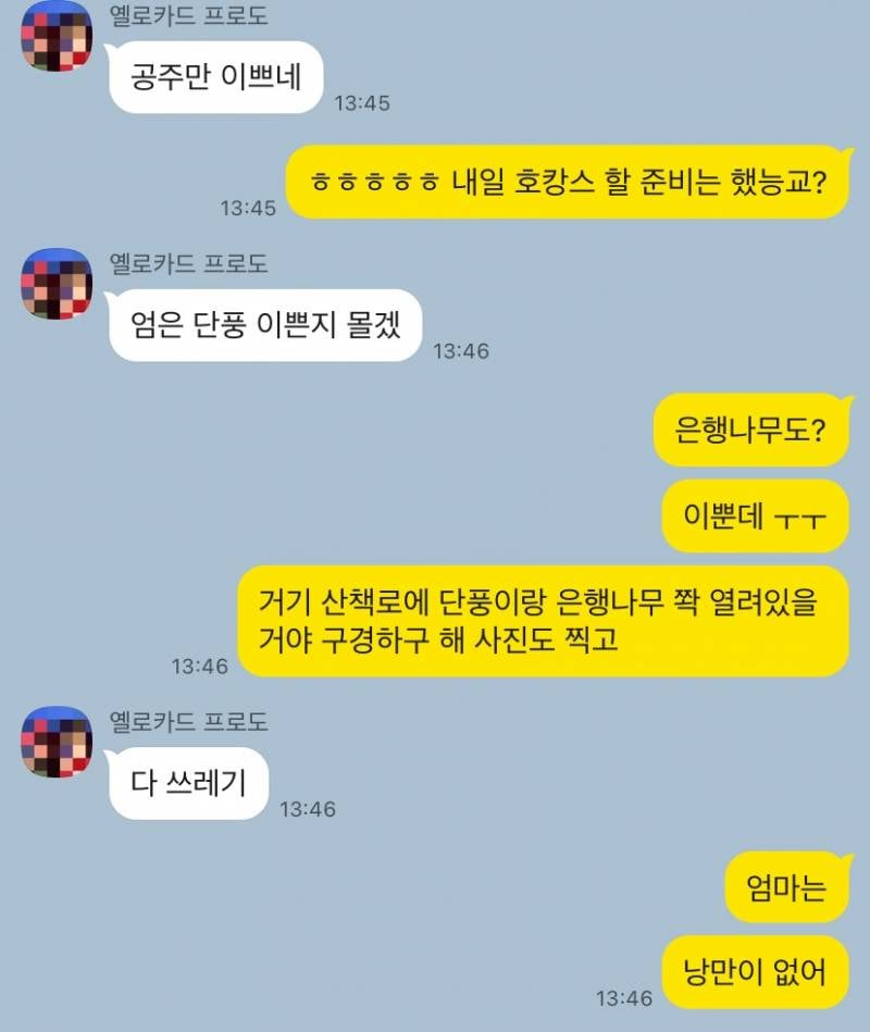 [잡담] 단풍나무랑 셀카 찍은 거 보여줬는데 낭만 없는 울 엄니 | 인스티즈