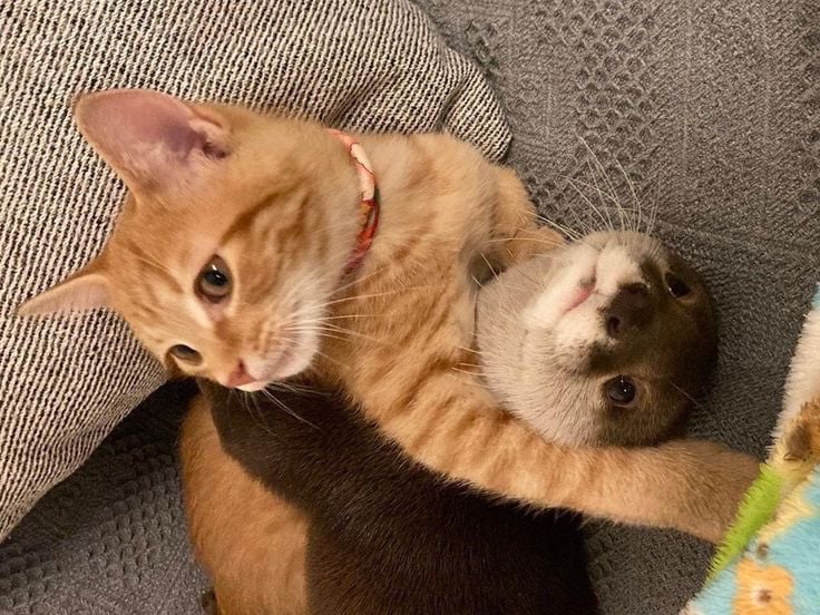 [잡담] 쇼타로 원빈 서로 밀치면서 투닥투닥 대는데 ㅋㅋㅋㅋㅋㅋㅋㅋㅋㅋㅋㅋ | 인스티즈