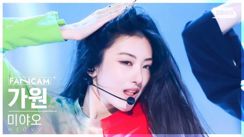 인가 보고 적어보는 미야오 음방 호소문 | 인스티즈