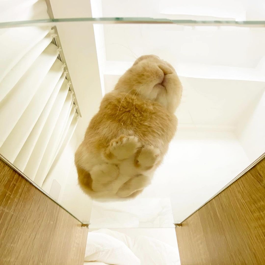 [잡담] 도영이 미공개사진 | 인스티즈