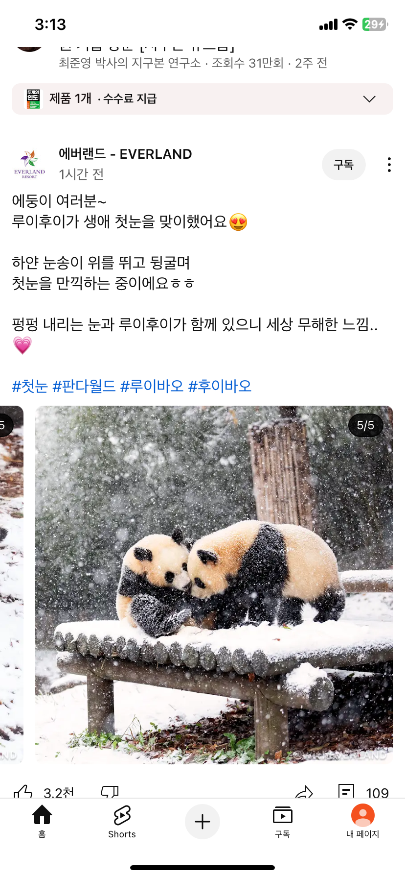 [잡담] 판월 미쳣다 와 ㅋㅋㅋㅋㅋㅋㅋㅋㅋㅋ | 인스티즈