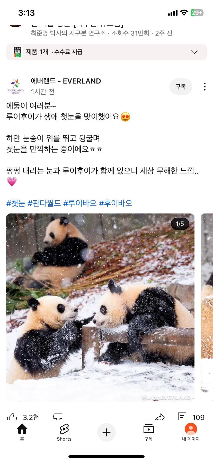 [잡담] 판월 미쳣다 와 ㅋㅋㅋㅋㅋㅋㅋㅋㅋㅋ | 인스티즈