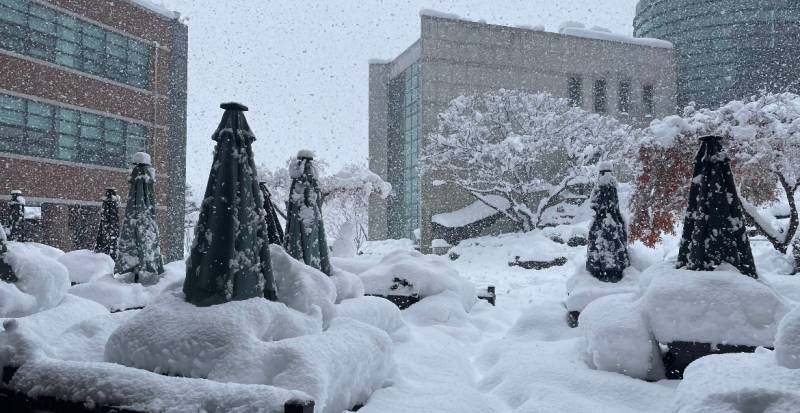 [잡담] 오늘 아침 >>NEW ❄️☃️ 여기 재난이야 살려줘 | 인스티즈