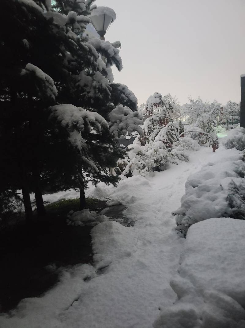 [잡담] 역대급 폭설와서 좋은건 역대급 설경을 서울에서도 본단거 하나네 | 인스티즈