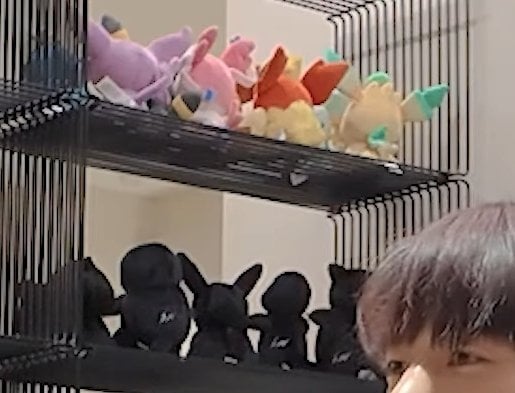 [잡담] 인피니트 엘 진짜 돈많은 덕후 그자체다 | 인스티즈