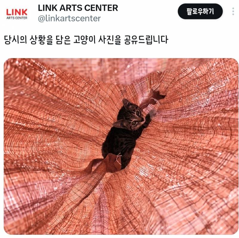 [잡담] 이런거보면 웃겨 | 인스티즈