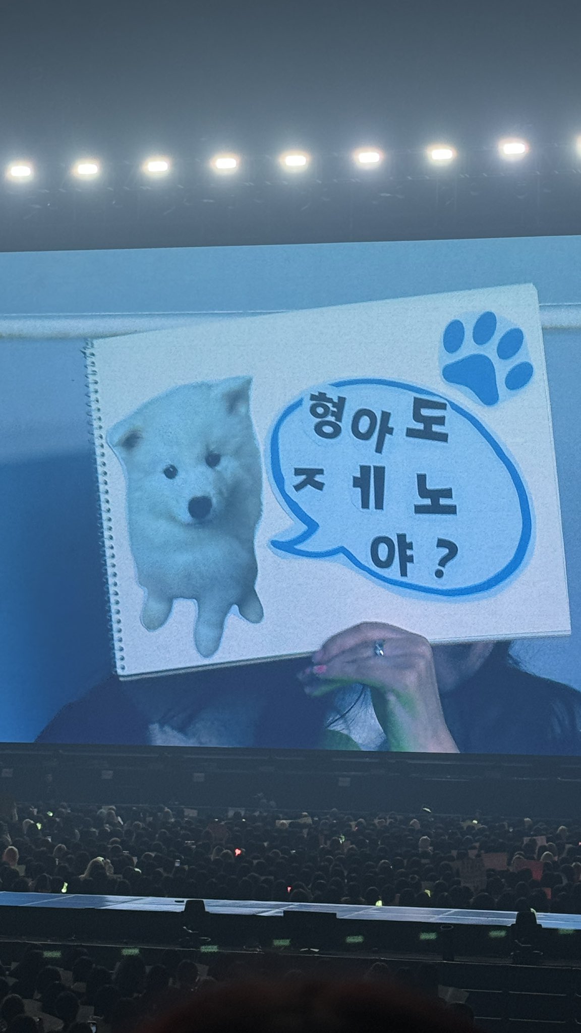 [잡담] 이 세상의 제노들.. 다 너무 귀여워.. | 인스티즈