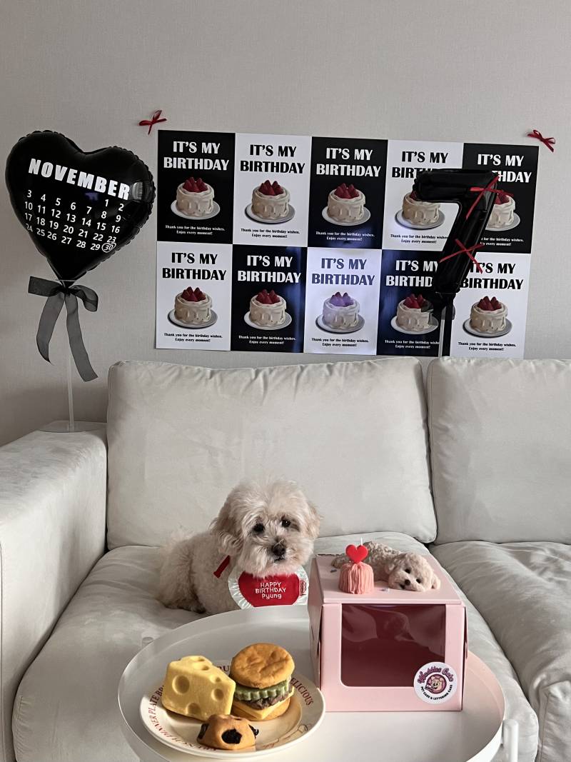 [잡담] 강아지 케익 주문제작했다는 쓰니인데 이번 케익이 더 대박 | 인스티즈