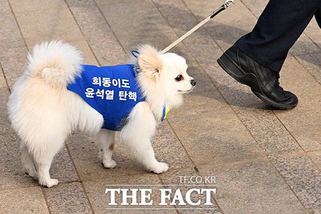 [잡담] 미친 희동이도 굥 탄핵 찬성한다는데? | 인스티즈