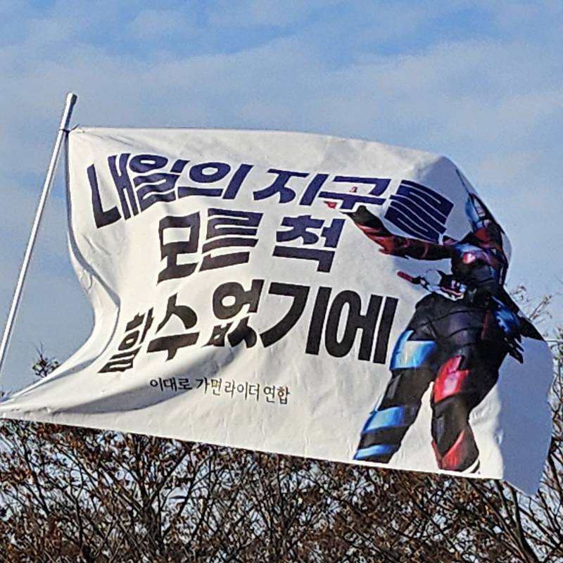 [잡담] 나라가 뒤집어져서 개빡쳐서 뛰쳐나온 와중에 깃발들 진짜 웃기네 | 인스티즈