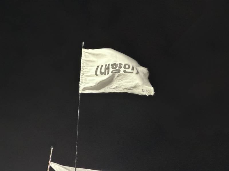 [잡담] 나라가 뒤집어져서 개빡쳐서 뛰쳐나온 와중에 깃발들 진짜 웃기네 | 인스티즈