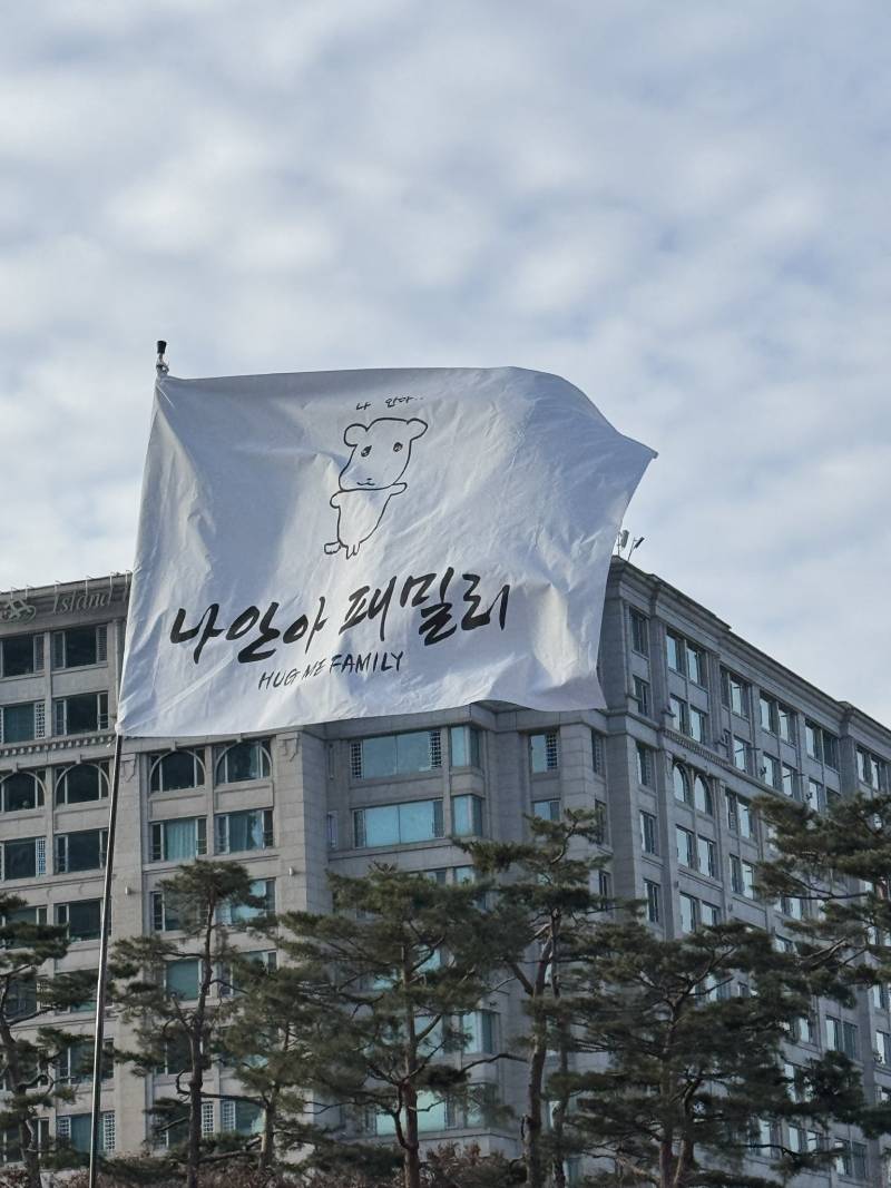 [잡담] 나라가 뒤집어져서 개빡쳐서 뛰쳐나온 와중에 깃발들 진짜 웃기네 | 인스티즈