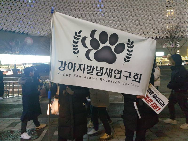[잡담] 나라가 뒤집어져서 개빡쳐서 뛰쳐나온 와중에 깃발들 진짜 웃기네 | 인스티즈