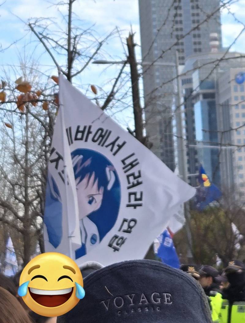[잡담] 나라가 뒤집어져서 개빡쳐서 뛰쳐나온 와중에 깃발들 진짜 웃기네 | 인스티즈