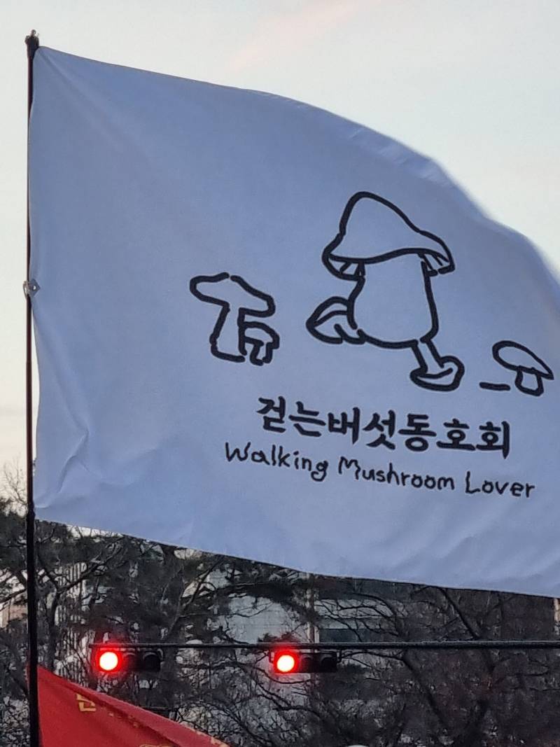 [잡담] 나라가 뒤집어져서 개빡쳐서 뛰쳐나온 와중에 깃발들 진짜 웃기네 | 인스티즈