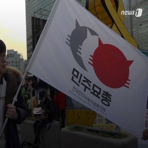[잡담] 나라가 뒤집어져서 개빡쳐서 뛰쳐나온 와중에 깃발들 진짜 웃기네 | 인스티즈