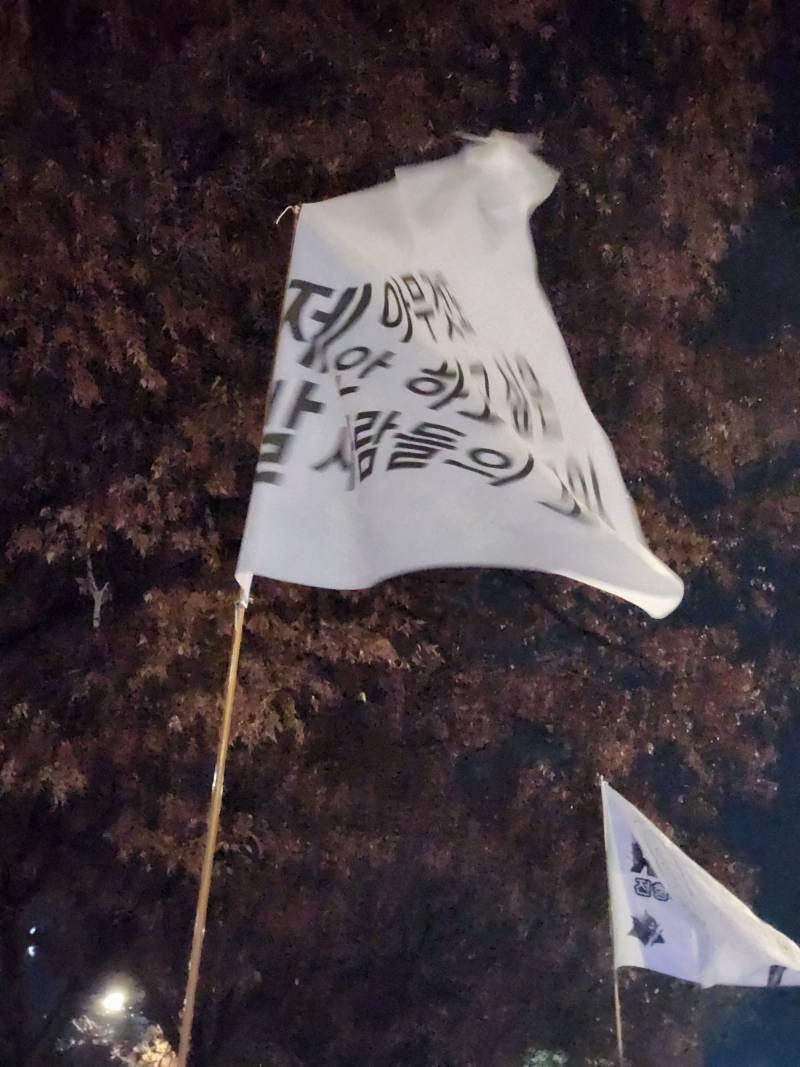 [잡담] 어쩌다보니 제발 아무것도 안하고 싶은 사람 모임 깃발 아래에서 행진해버린 집순이 | 인스티즈