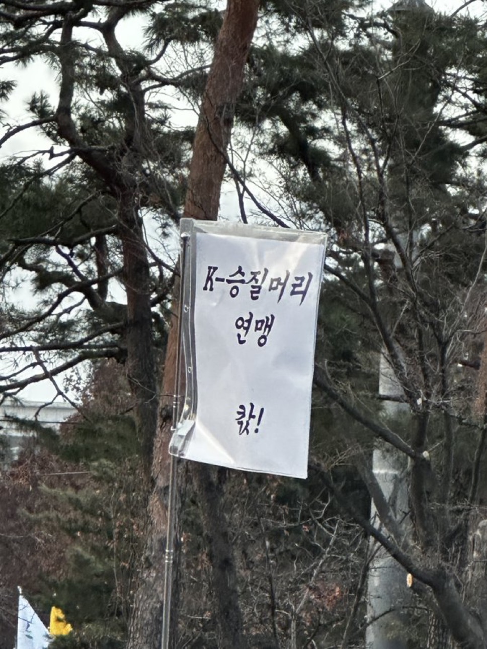 [잡담] 내가 저장한 깃발 모음 ㅋㅋㅋㅋ | 인스티즈