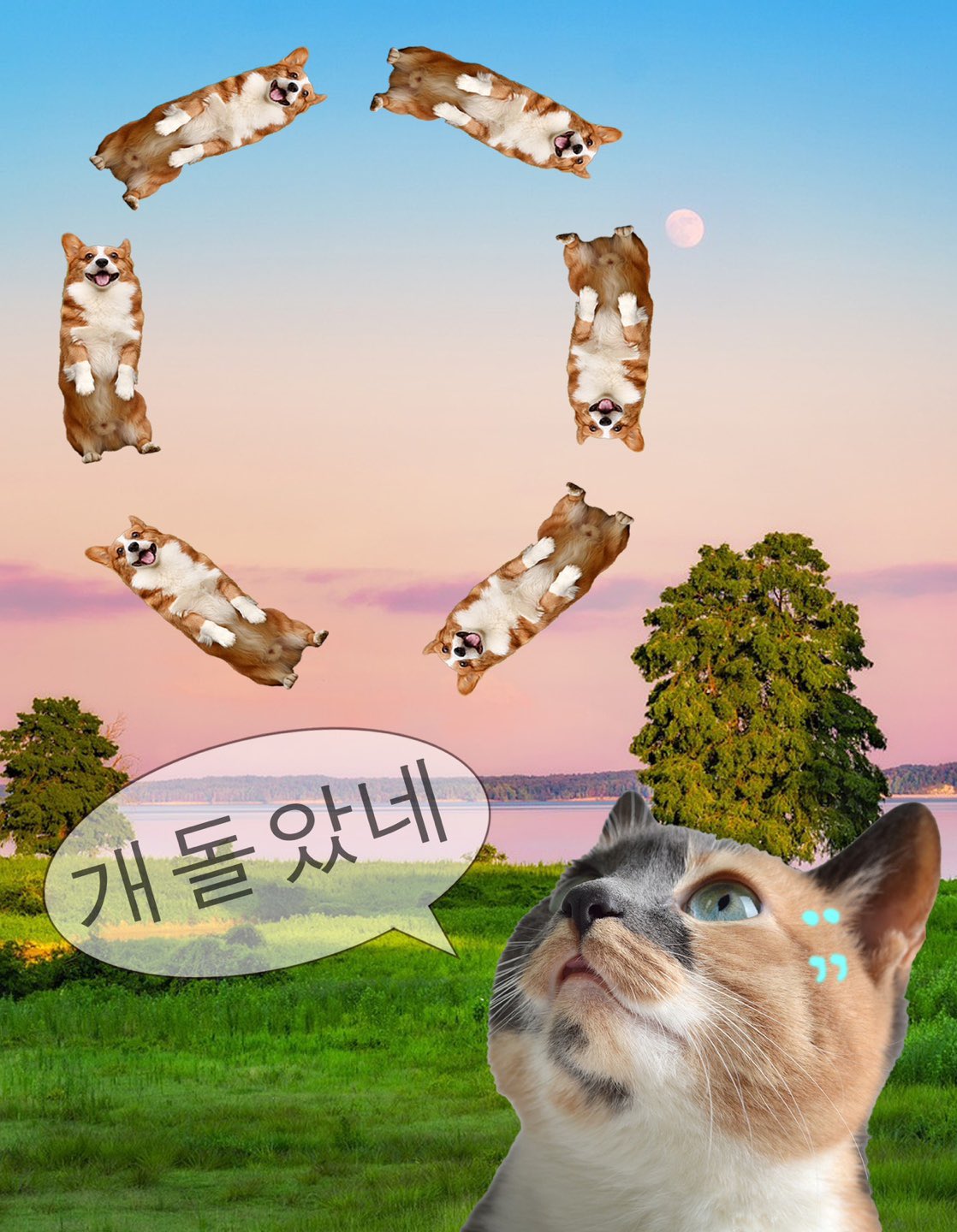 [잡담] 음 메모 만든 사람 진짜 재능충이다... | 인스티즈